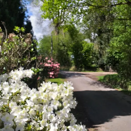 Le Beaujouas Thiberville