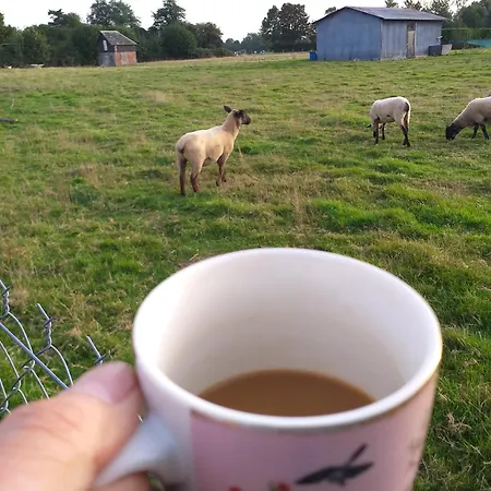 Holiday home Le Beaujouas Thiberville