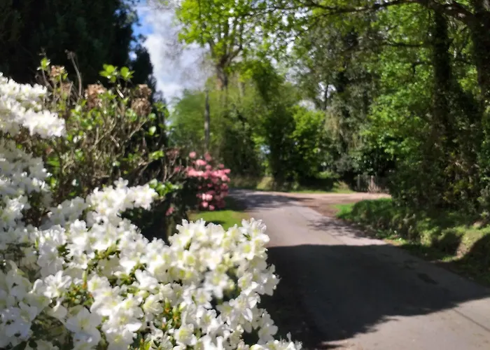 Le Beaujouas Thiberville