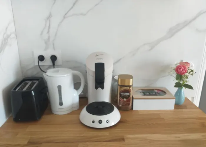 Le Beaujouas Holiday home *